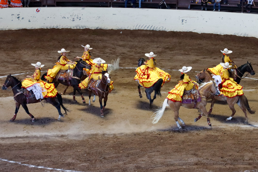 ¡¡Extraordinario!! Festival Internacional de la Mujer a&nbsp;Caballo