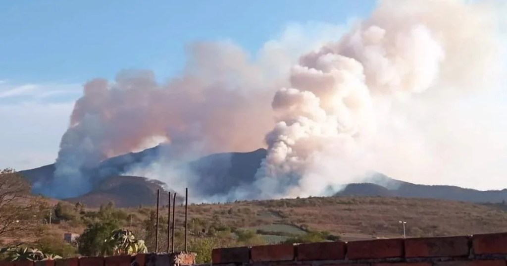 Guanajuato: Incendios Forestales a la&nbsp;Alza