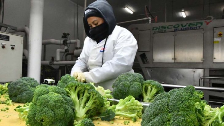 CRECEN INGRESOS DE&nbsp;GUANAJUATENSES