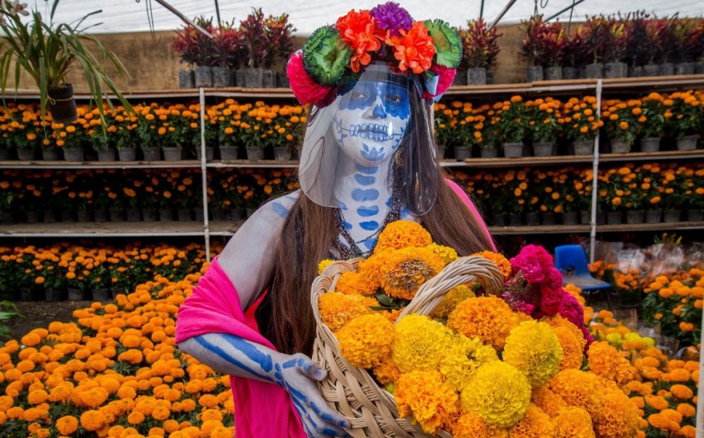 DIA DE MUERTOS Y LA FLOR DE&nbsp;CEMPAXÚCHIL