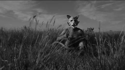 «EL PERRO»:CORTOMETRAJE CELAYENSE QUE CAMINA CON PASO FIRME AL RECONOCIMIENTO&nbsp;INTERNACIONAL